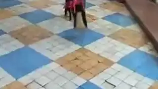 متعاظم كعب عالي التايلاندية